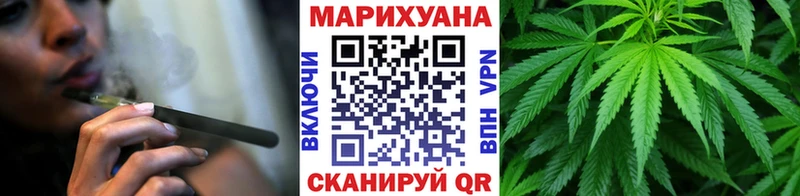 купить наркоту  Орехово-Зуево  Каннабис сатива 